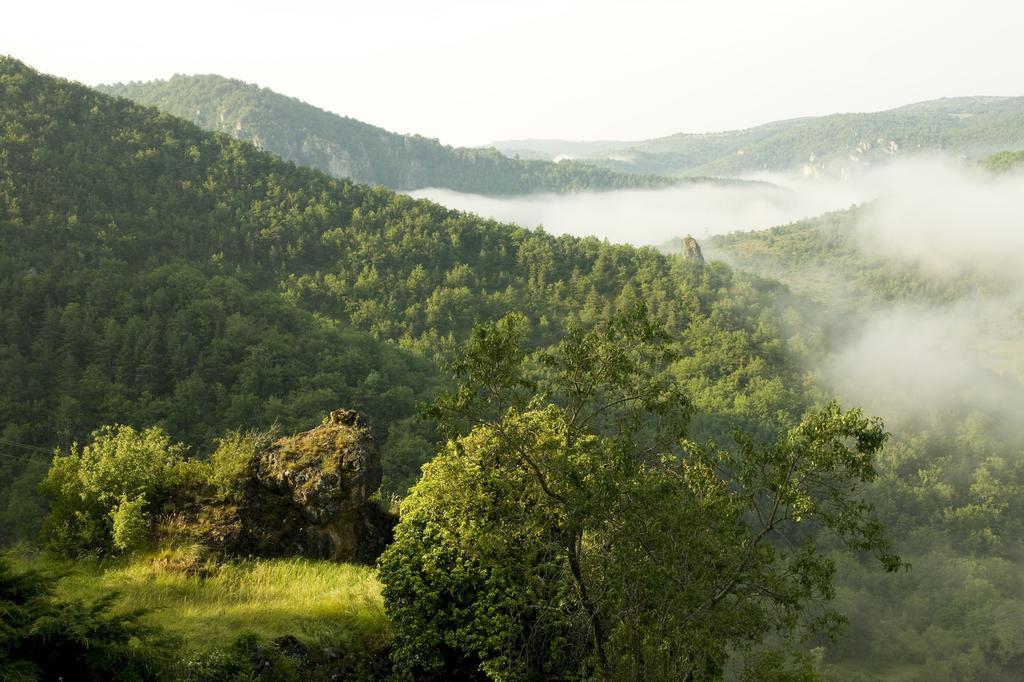 Le Colombier Saint-Veran La Roque-Sainte-Marguerite Bagian luar foto