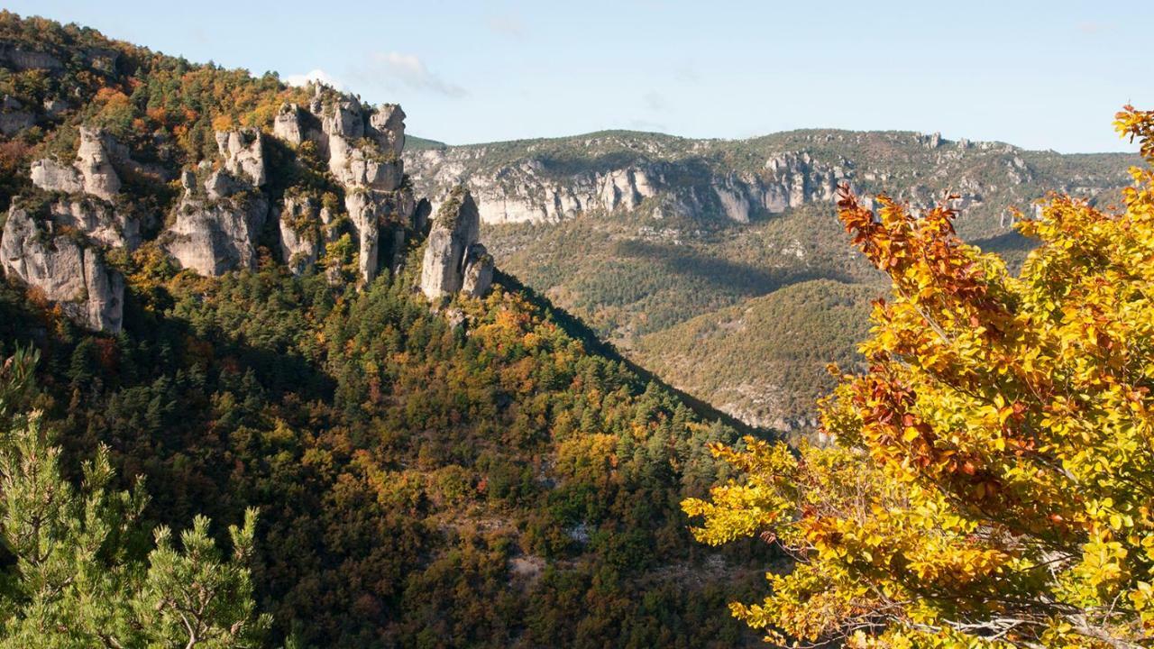 Le Colombier Saint-Veran La Roque-Sainte-Marguerite Bagian luar foto